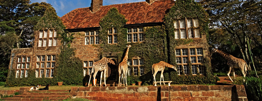Giraffe Manor