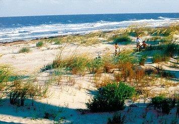 Hilton Beachfront Resort And Spa Hilton Head Island