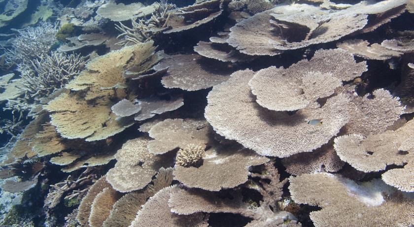 Park Hyatt Maldives Hadahaa