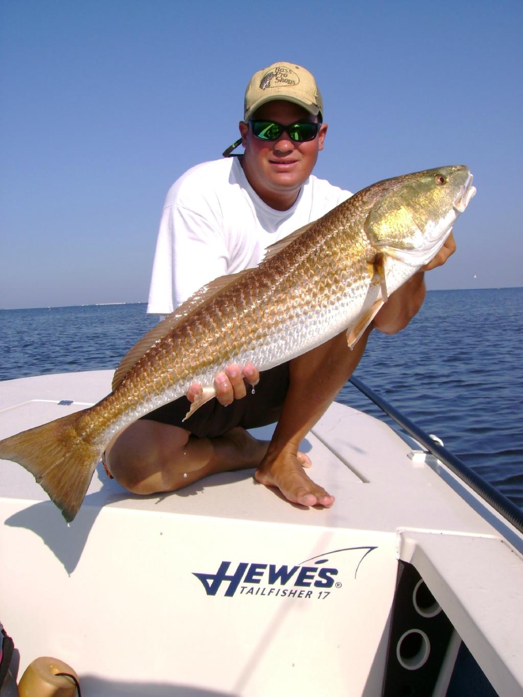 Jensen's Twin Palm Cottages and Marina