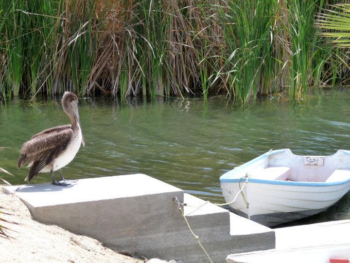 La Poza Boutique Hotel & Spa