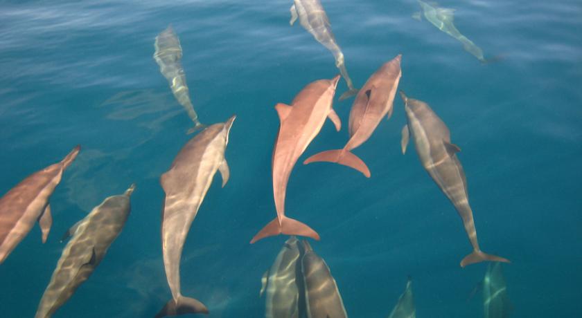 Park Hyatt Maldives Hadahaa