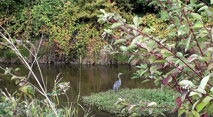 Radisson Hotel Portland Airport