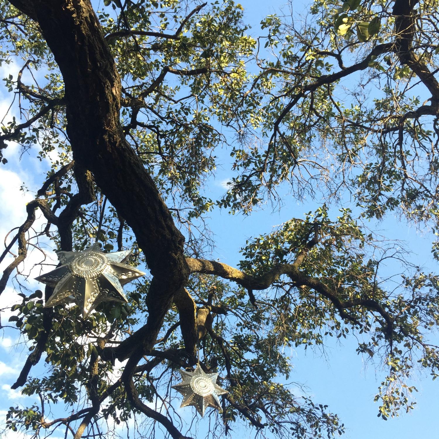 La Betulia Bed and Breakfast