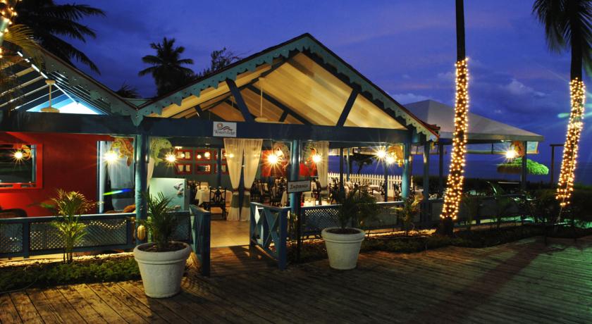 Bougainvillea Barbados