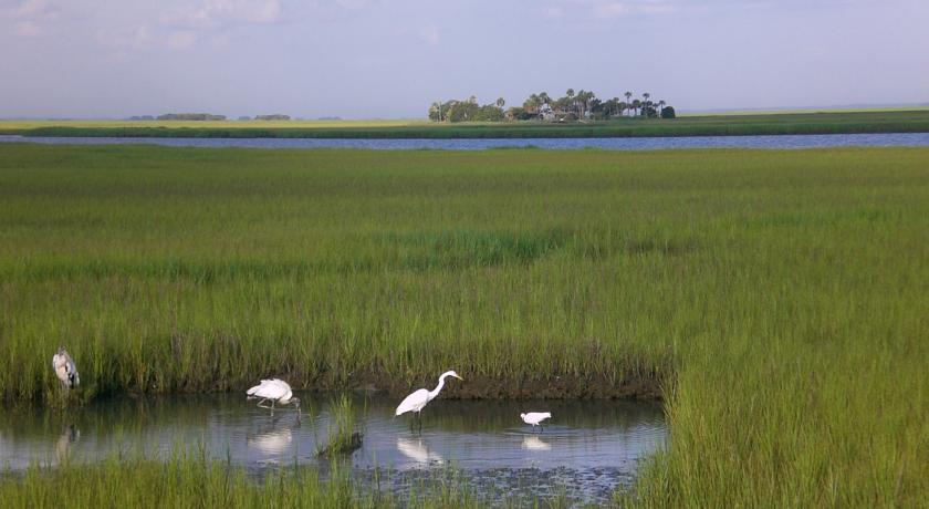 Best Western Sea Island Inn