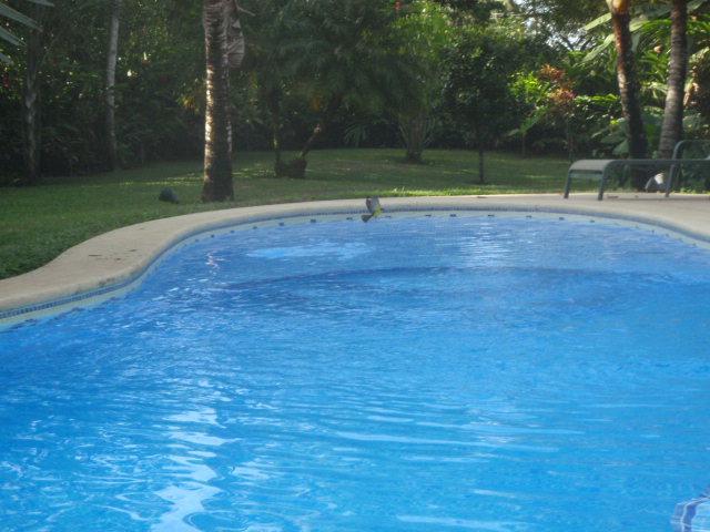 Playa Negra Guesthouse