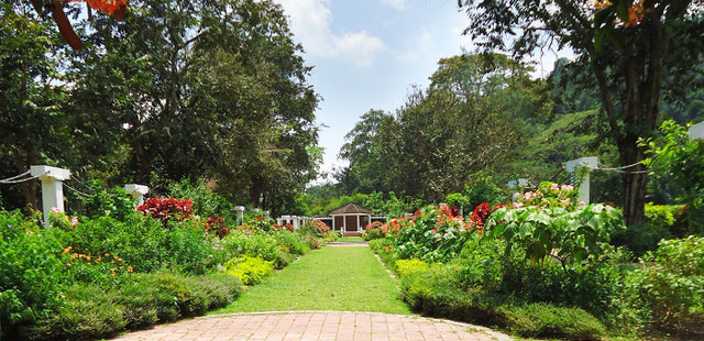 Penang Botanical Gardens