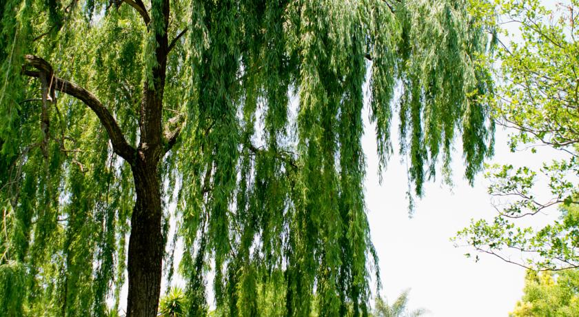 Richtershuyz Lifestyle Guesthouse