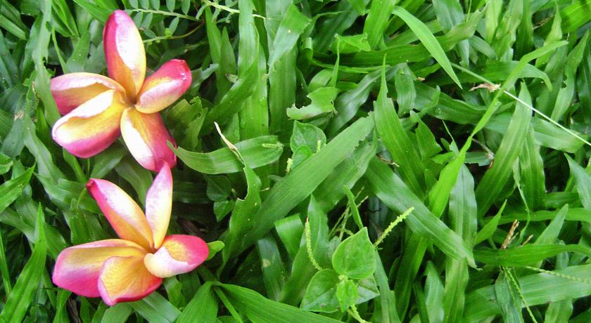 Neeleshwar Hermitage