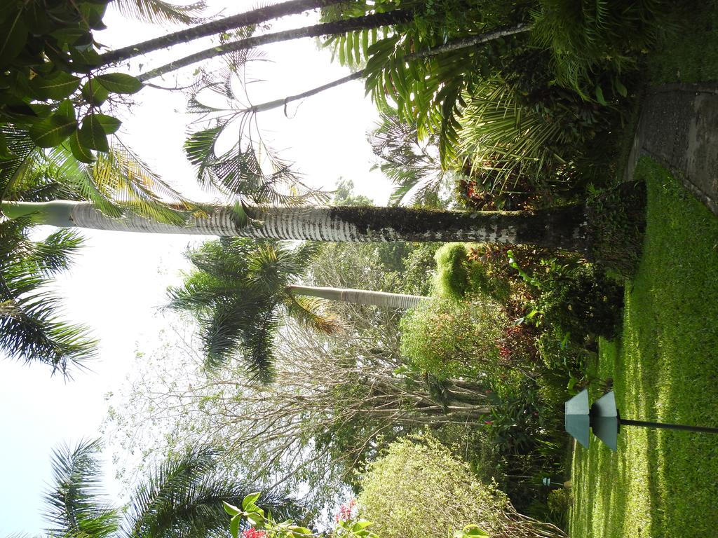 Playa Negra Guesthouse