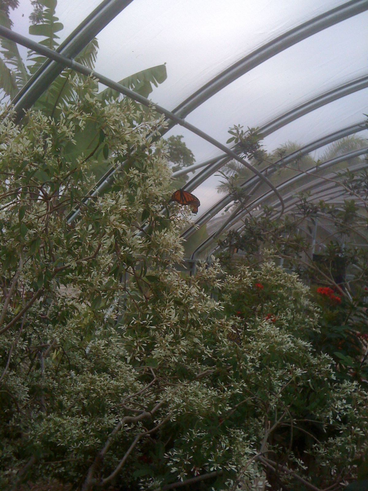 Naples Botanical Garden