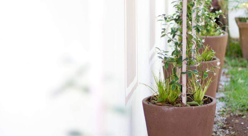 Richtershuyz Lifestyle Guesthouse