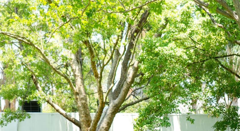 Richtershuyz Lifestyle Guesthouse