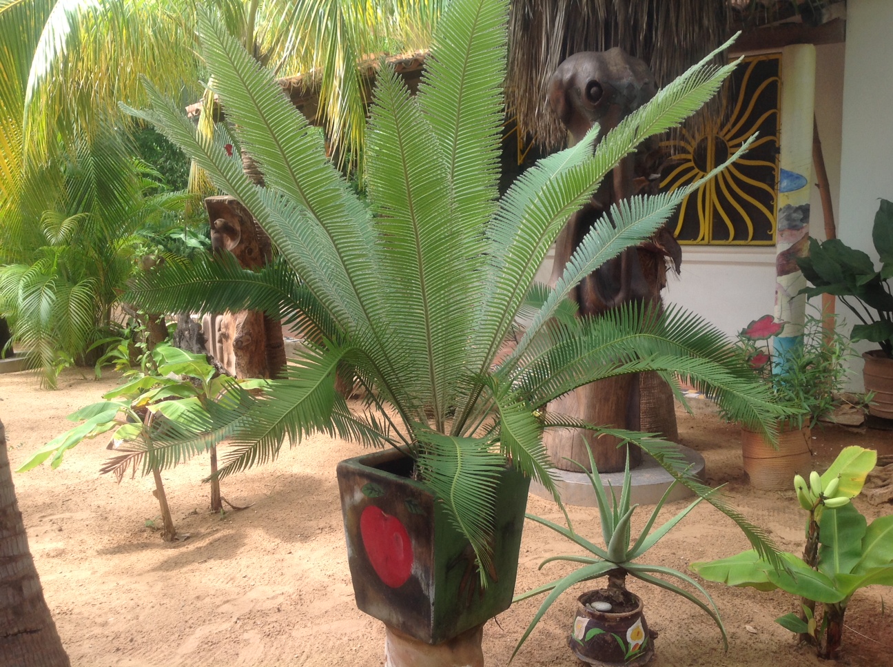 Villa Mozart y Macondo