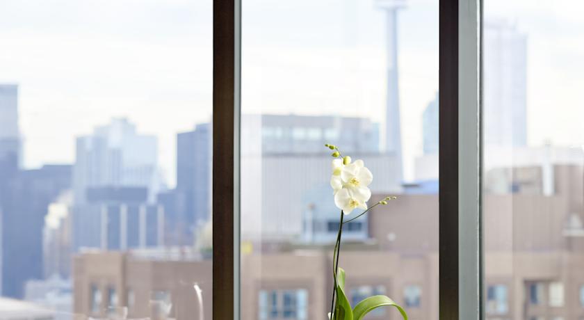 Chelsea Hotel Toronto