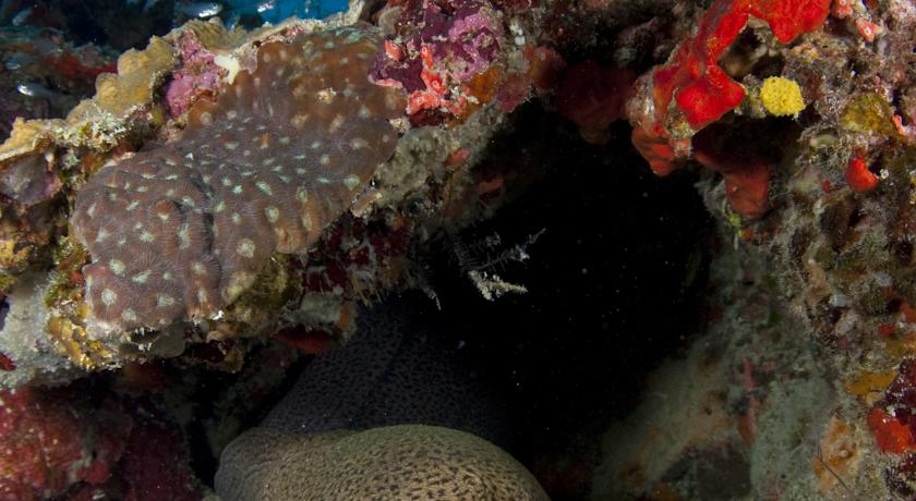 Park Hyatt Maldives Hadahaa