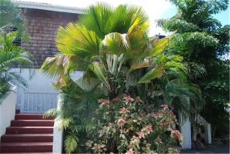 Fort Recovery Beachfront Villa & Suites