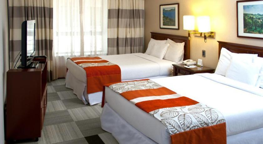 Hotel Plaza El Bosque Ebro