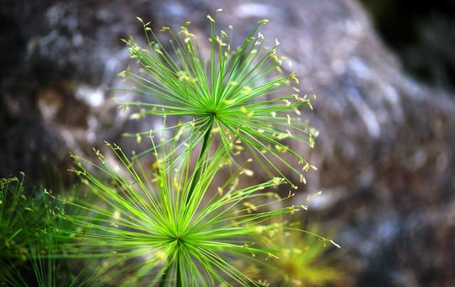 Tamarindo Bay Boutique Hotel