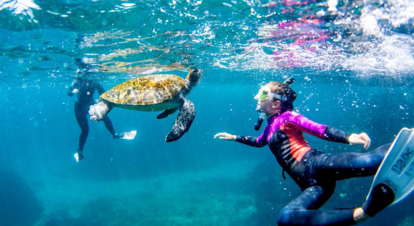 Reflections Byron Bay - Holiday Park