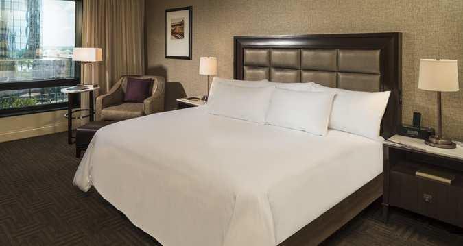 Hilton Tampa Downtown