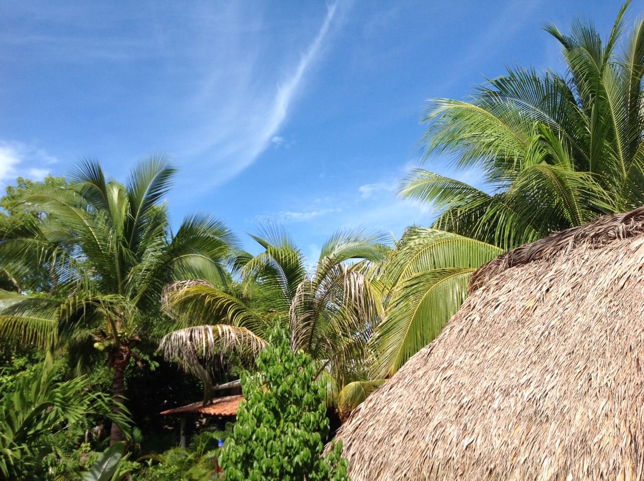 Villa Mozart y Macondo