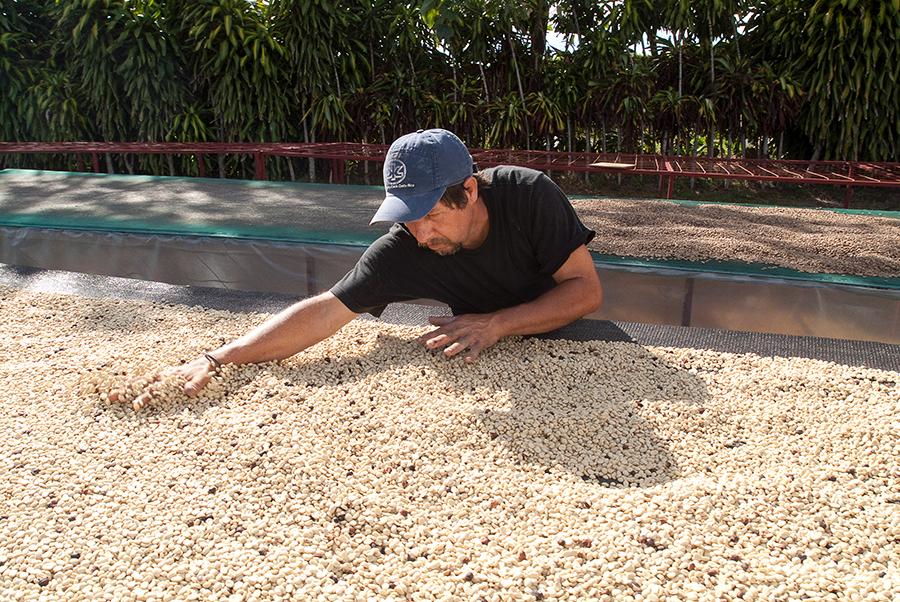 Finca Rosa Blanca Coffee Farm and Inn