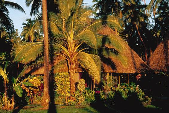 Jean-Michel Cousteau Resort Fiji