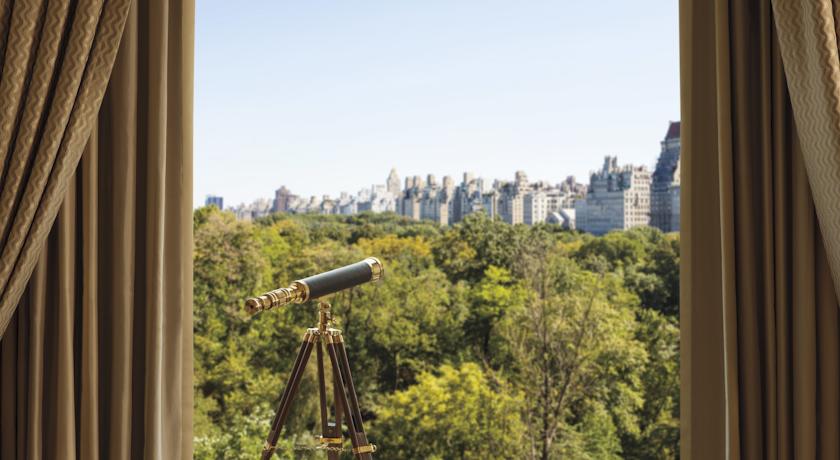 The Ritz-Carlton New York, Central Park