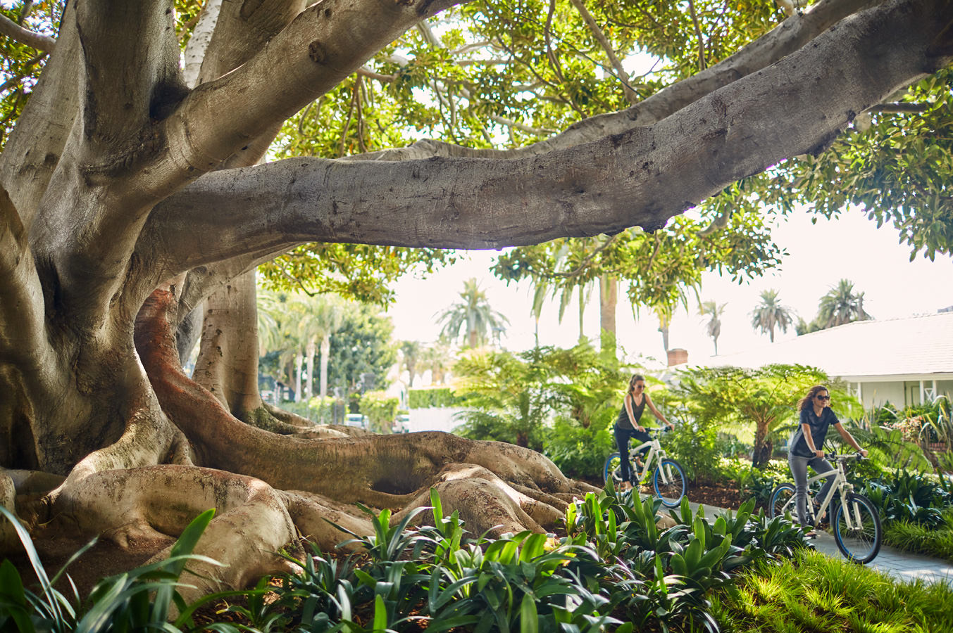 Fairmont Miramar Hotel & Bungalows