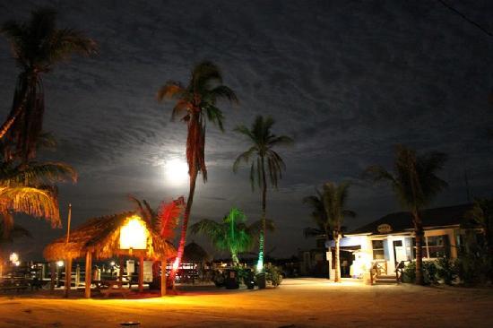 Jensen's Twin Palm Cottages and Marina