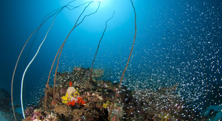 Park Hyatt Maldives Hadahaa