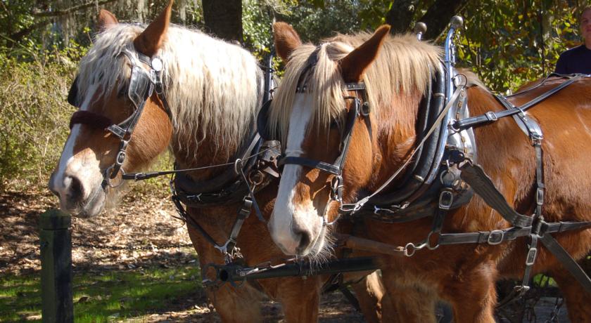 Inn At Middleton Place