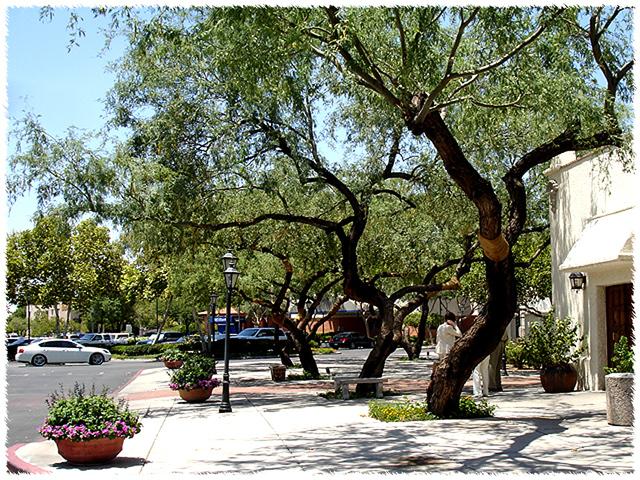 Homewood Suites by Hilton Tucson/St. Philip's Plaza University