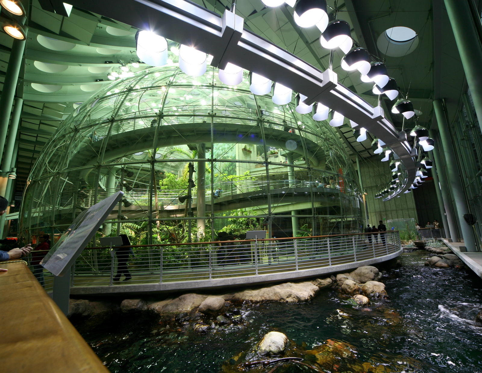 California Academy of Sciences
