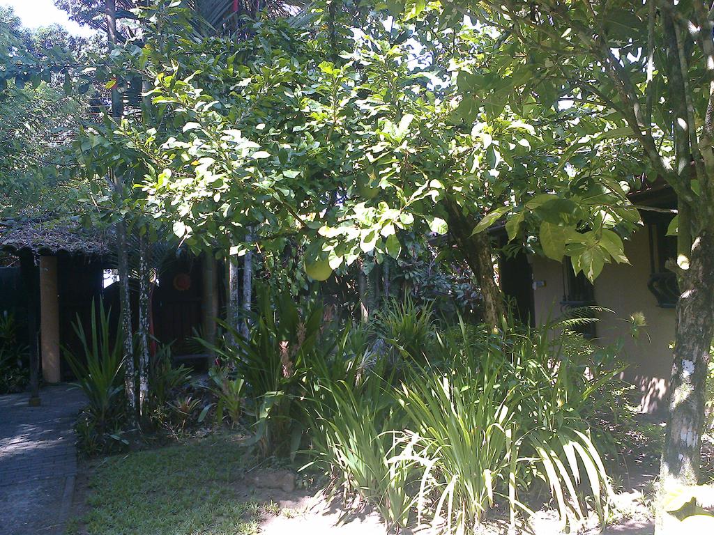 Playa Negra Guesthouse