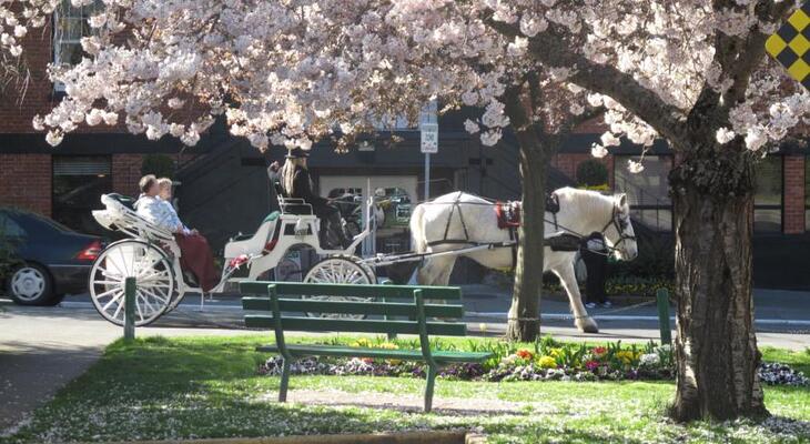 James Bay Inn Hotel, Suites & Cottage