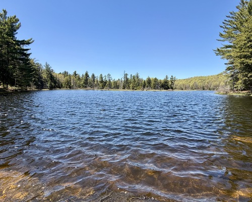 Gatineau Park