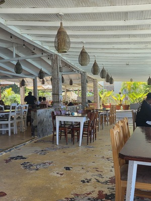The Fig Tree