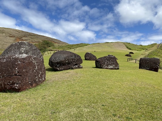 Puna Pau