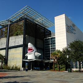 South Carolina Aquarium