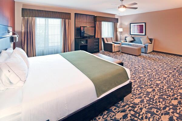 Holiday Inn Express & Suites North Dallas at Preston, an IHG hotel