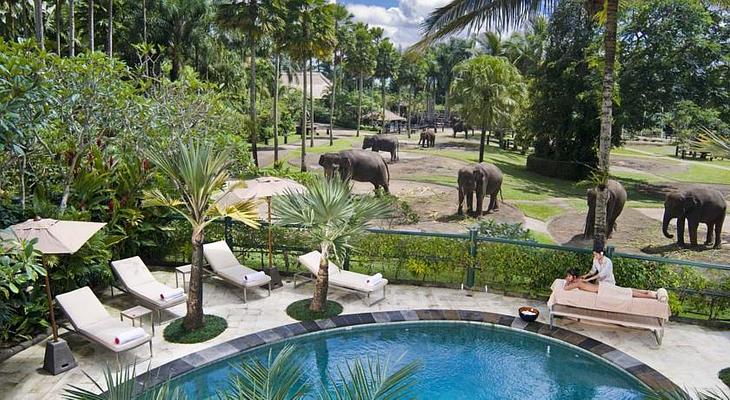 Mason Elephant Park  & Lodge