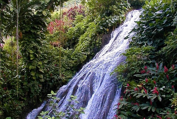 Shaw Park Gardens & Waterfalls