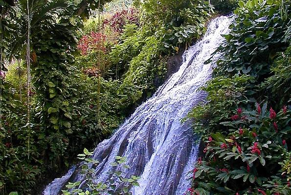 Shaw Park Gardens & Waterfalls