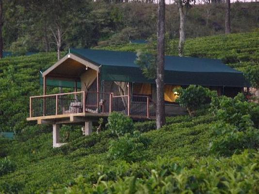 Madulkelle Tea and Eco Lodge