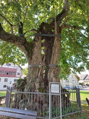 Museum Reichenau
