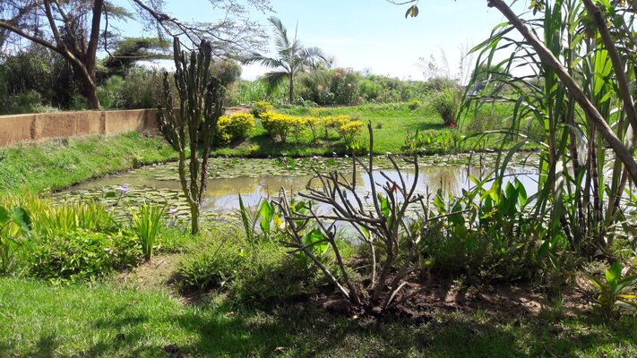 Yellow Haven Lodge