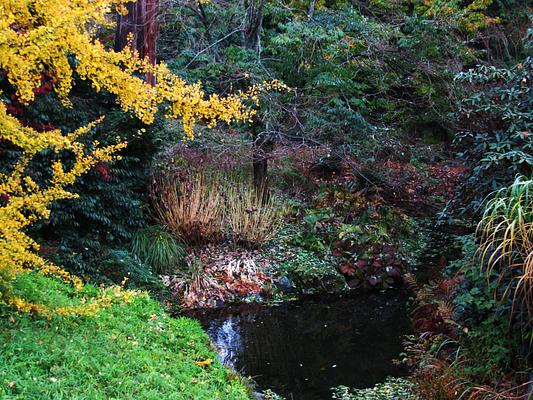 UBC Botanical Garden